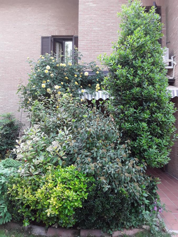 B&B La Rosa Gialla มาราเนลโล ภายนอก รูปภาพ