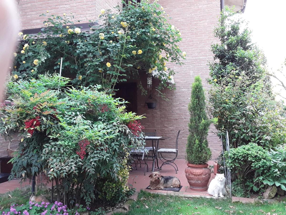 B&B La Rosa Gialla มาราเนลโล ภายนอก รูปภาพ