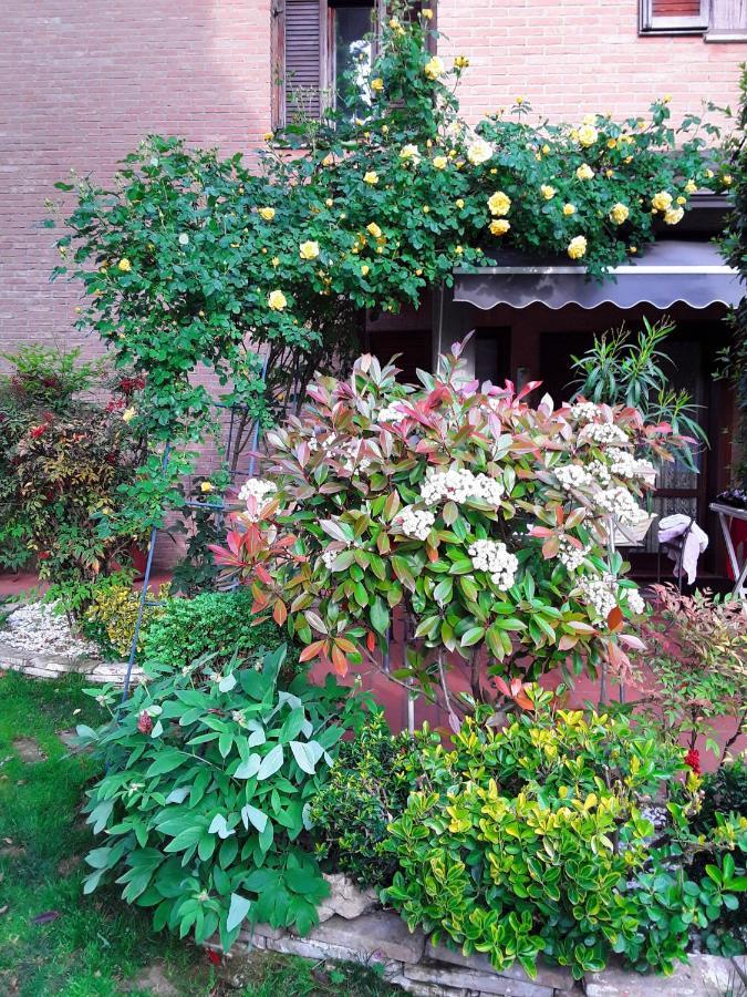 B&B La Rosa Gialla มาราเนลโล ภายนอก รูปภาพ