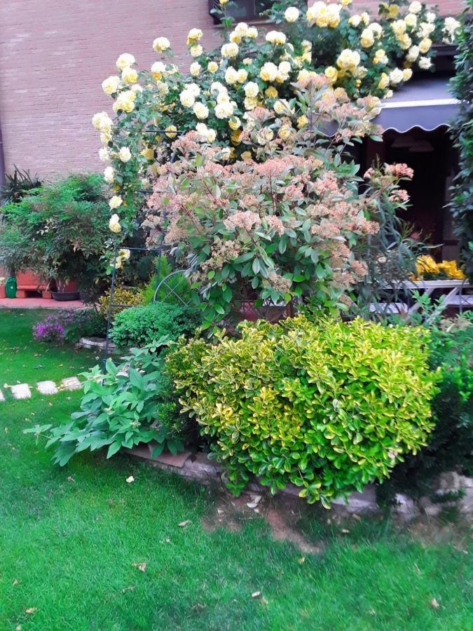 B&B La Rosa Gialla มาราเนลโล ภายนอก รูปภาพ